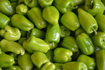 Dolma biber