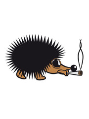 Kiffen hedgehog animal nature sweet sunglasses joint