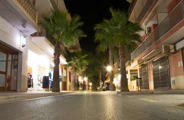 Street with palms at night.