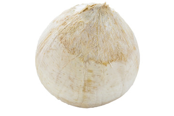 Fresh coconut isolated on white background