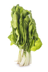 Manojo de acelgas frescas aislado sobre un fondo blanco