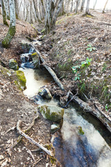 stream in mountain forest in spring