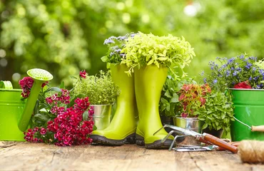 Tuinposter Tuingereedschap voor buiten op oude houten tafel © ZoomTeam