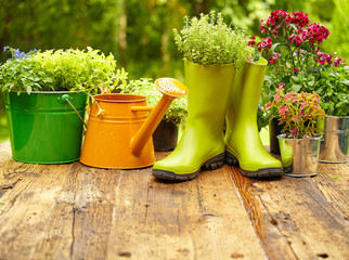 Outdoor gardening tools on old wood table