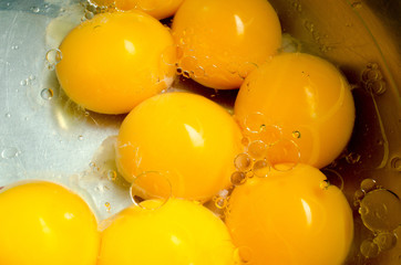 Raw egg Yolk in vegetable oil