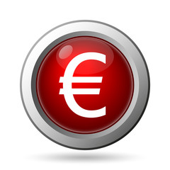 Euro icon