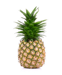 Fototapeta premium pineapple on white background