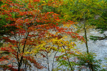 Kamikochi in early autumn, in Nagano, Japan