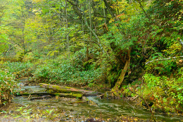 Kamikochi in early autumn, in Nagano, Japan