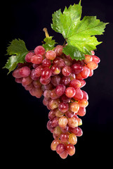 Grape cluster with leaves isolated