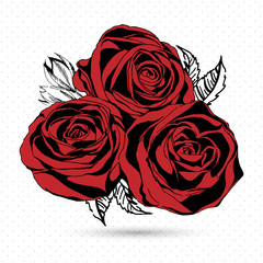 Red roses on white background. Vector illustration.