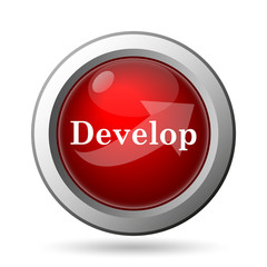 Develop icon