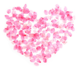 Heart symbol of flower petal