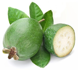 Feijoa on a white background.
