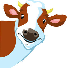 cow peeking  - vector illustration