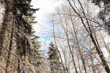 Winterlandschaft