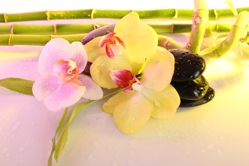 Spa stones with orchid and bamboo on light background