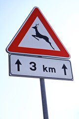 Cartello stradale pericolo animali