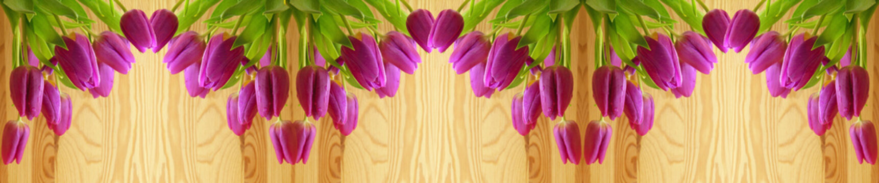 Pink tulips background.