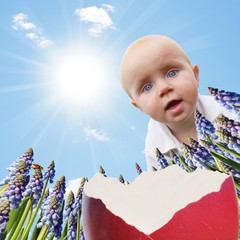 Blick ins Osternest - Frühlingsangebot