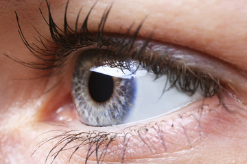 Human eye close-up