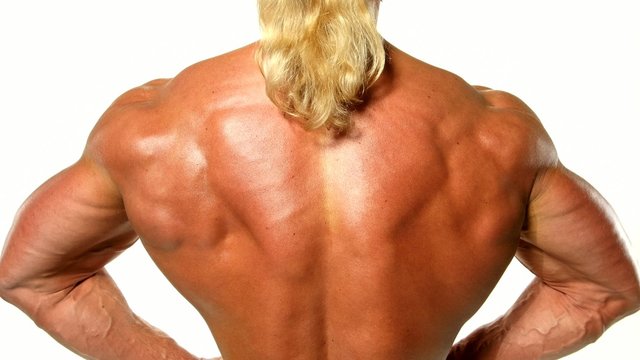 Close up of bodybuilder muscular back on white background