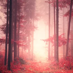 Fototapete Rund Red mystic color forest © robsonphoto