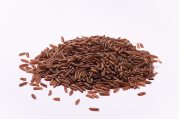 Falasco Ermes rice