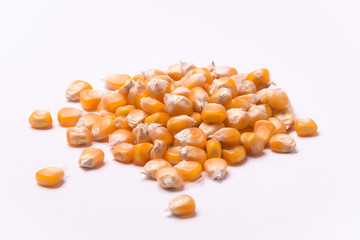dry corn