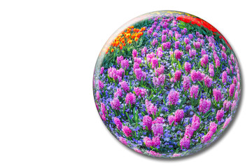 Crystal sphere with pink hyacinths on white background
