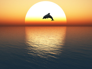 jumping dolphin © danimages