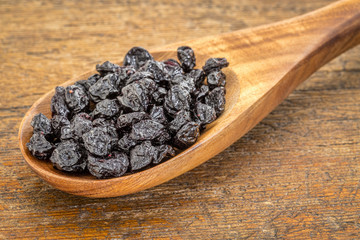 dried blueberry