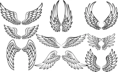 Fotobehang Illustration of wings collection set © tigatelu