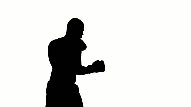 Boxing Silhouette Images – Browse 160,695 Stock Photos, Vectors, and Video  | Adobe Stock