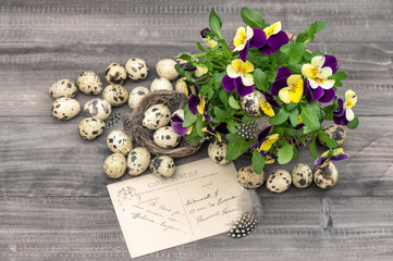pansy flowers, quail eggs and greeting card