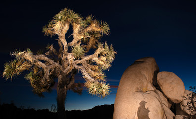 Sunset Shadow Rock Formation Joshua Tree National Park