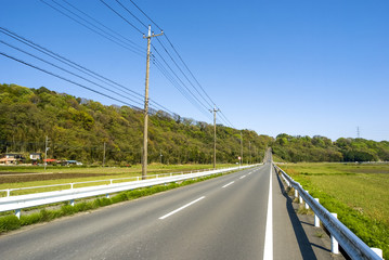 長い直線の道と田