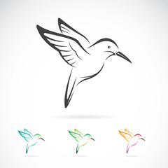 Obraz premium Vector image of an hummingbird design on white background