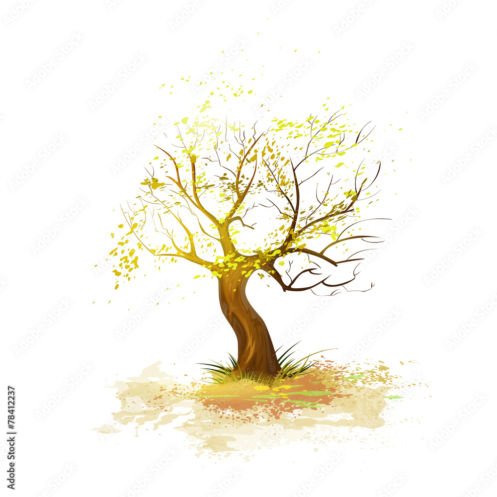 Wall mural autumn tree yellow leaves fall down isolated over white