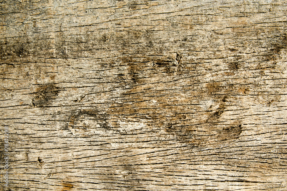 Wall mural natural old wood background