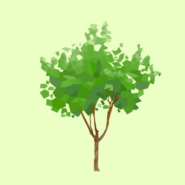 tree green leaves polygon graphic vector
