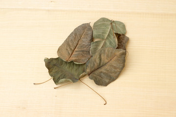 pile sear leaf on plywood background