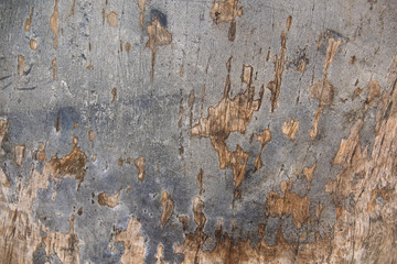 natural old wood background