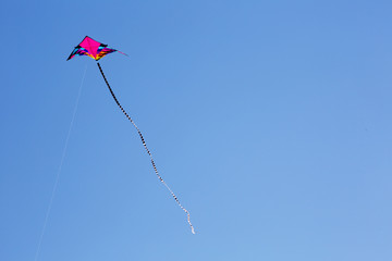 kite in the sky