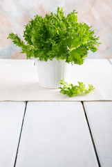 Fresh green lettuce in a white pot.