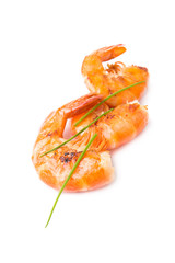 Grilled shrimp isolated on white