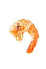 Grilled shrimp isolated on white