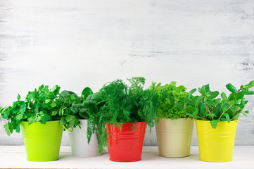 Flavoring greens in buckets
