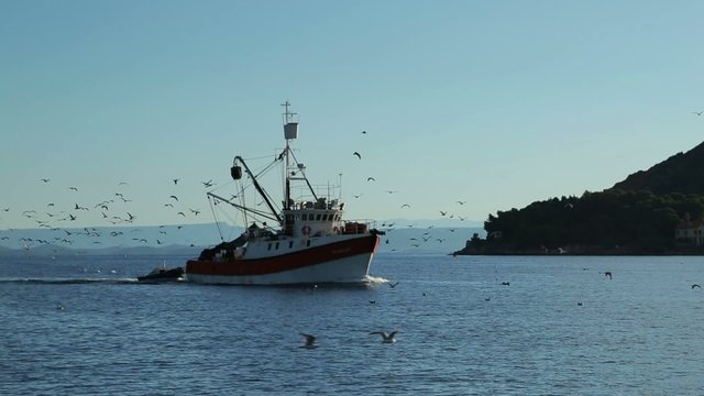 Fischerboot