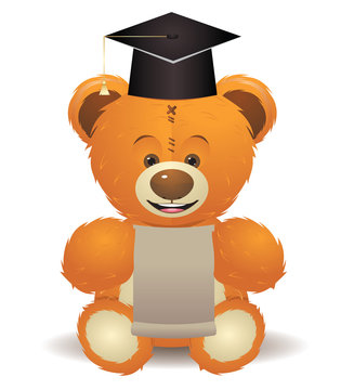 Teddy Bear in Graduation Hat
